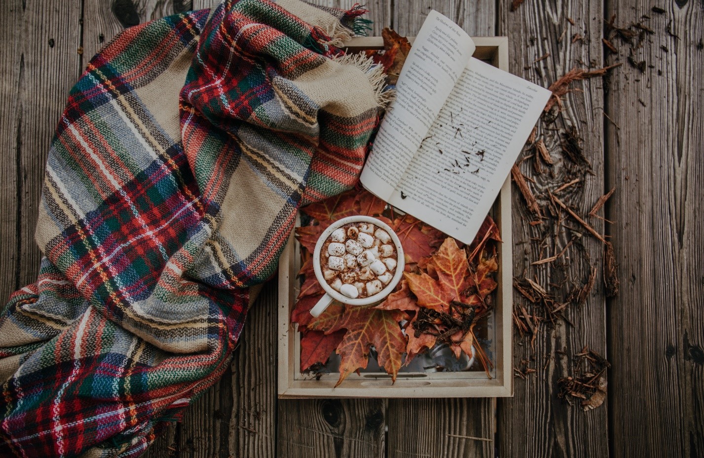 با انتخاب مناسب شال و روسری، مثل پاییز زیبا و رنگی باشید!